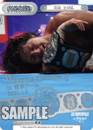 NJPW-001B-P029.png