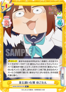 SKNK-001B-010闪卡.png