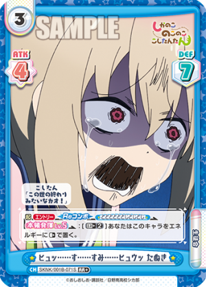 SKNK-001B-071闪卡.png