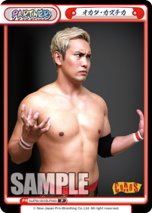 NJPW-001B-P040.png