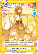 SKNK-001B-005闪卡.png