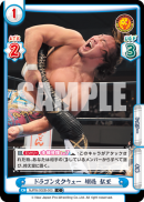 NJPW-002B-003.png