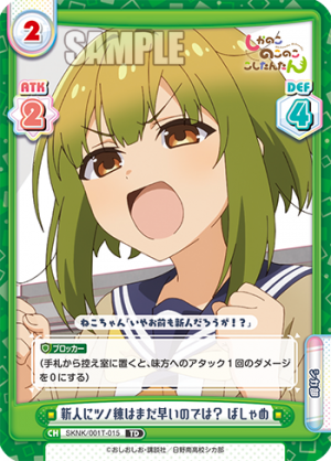 SKNK-001T-015.png
