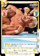 NJPW-002B-073闪卡.png