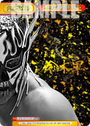 NJPW-001TV-P013.png