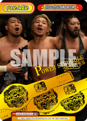 NJPW-002B-P013.png