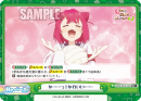 SKNK-001B-102闪卡.png