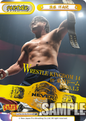 NJPW-001B-P015闪卡.png