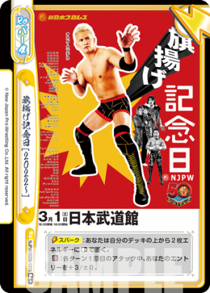 NJPW-002B-101闪卡.png