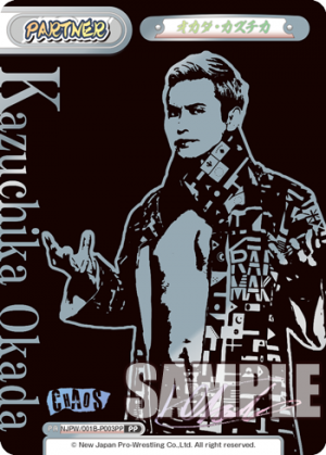 NJPW-001B-P003PP.png