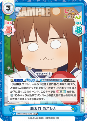 SKNK-001B-004闪卡.png