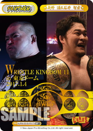 NJPW-001B-P017闪卡.png