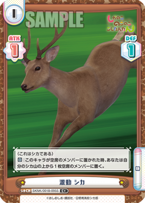 SKNK-001B-095闪卡.png