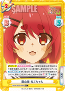 SKNK-001B-066闪卡.png