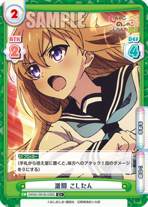 SKNK-001B-028闪卡.png