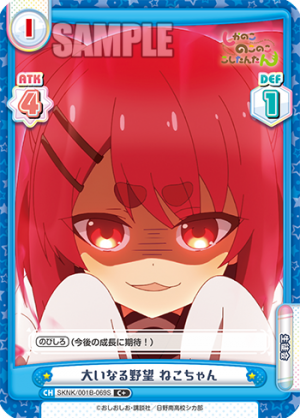 SKNK-001B-069闪卡.png