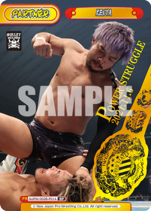 NJPW-002B-P014.png