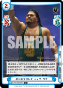 NJPW-002B-090闪卡.png