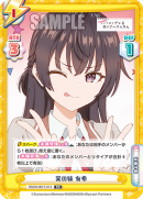 RSDR-001T-013.png