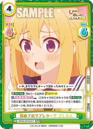 SKNK-001B-017.png