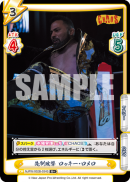 NJPW-002B-034闪卡.png