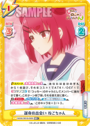 SKNK-001B-060闪卡.png