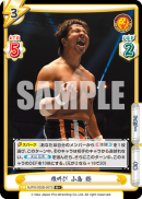 NJPW-002B-007闪卡.png