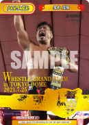 NJPW-002B-P018.png