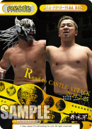 NJPW-001B-P020闪卡.png