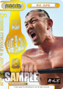 NJPW-001B-P018闪卡.png