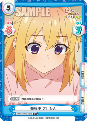 SKNK-001B-030闪卡.png