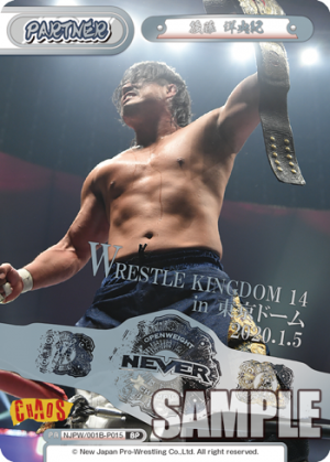 NJPW-001B-P015.png