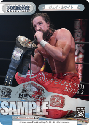 NJPW-001B-P022.png