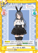 RSDR-001B-074.png