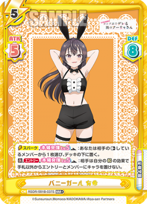 RSDR-001B-037闪卡.png