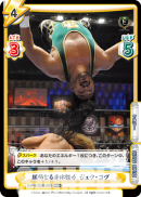 NJPW-002B-089闪卡.png