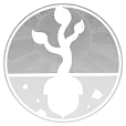 小麦-觉醒-能量耦合.png