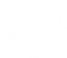 阵营-始源桦树.png