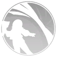 甘雅-觉醒-战术护旋.png