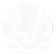克洛伊-觉醒-磁层亚暴.png