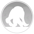 霖-觉醒-蜃影.png