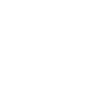 斯洛卡伊-觉醒-钻心.png