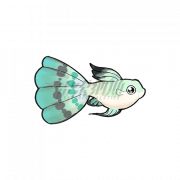 绿松石孔雀鱼.png