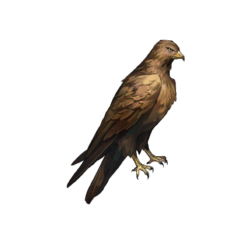 单品 卡珊德拉 01.png