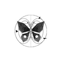 物品图标 纷飞数据.png