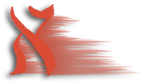 图标 角色签名 阿莱夫.png