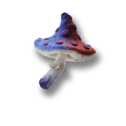 物品图标 俯瞰蘑菇.png