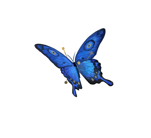 单品 伊索尔德 09.png