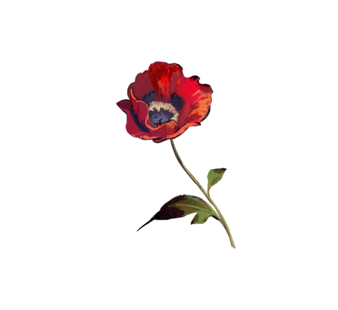单品 卡戎 03.png