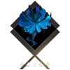 安定.png